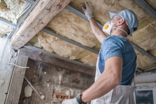 Best Specialized Insulation Services in Divernon, IL